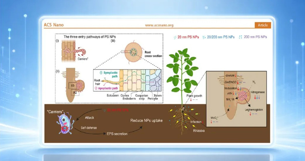 《ACS Nano》研究背后：国产ICP-MS如何追踪纳米塑料