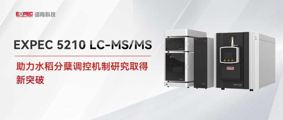32.7！谱育科技LC-MS/MS 助力水稻分蘖调控机制研究取得新突破，研究成果刊发《Molecular Plant》